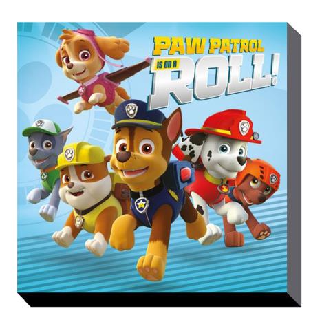 Paw Patrol On a Roll Canvas Print (30cm x 30cm) £9.99